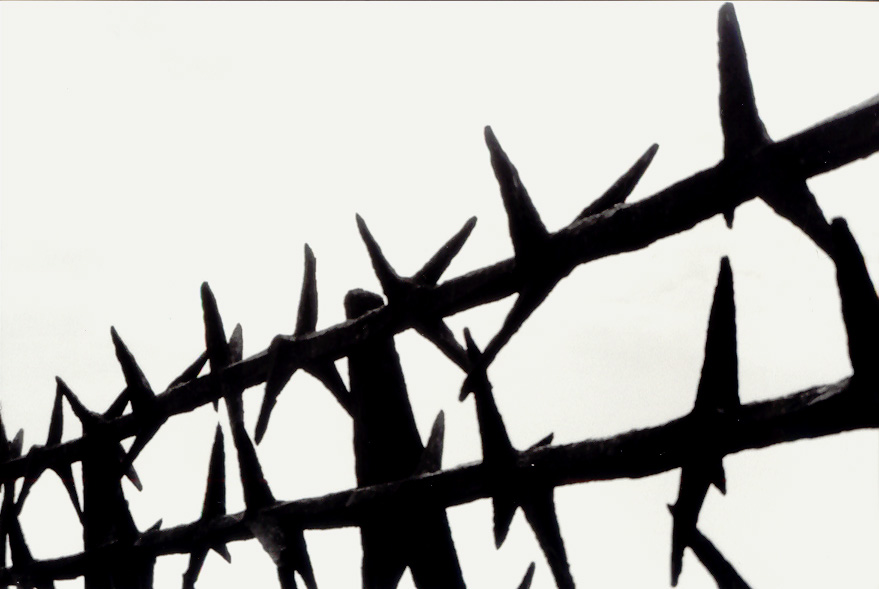 File:Mauthausen-Barbed wire memorial.jpg - Wikimedia Commons