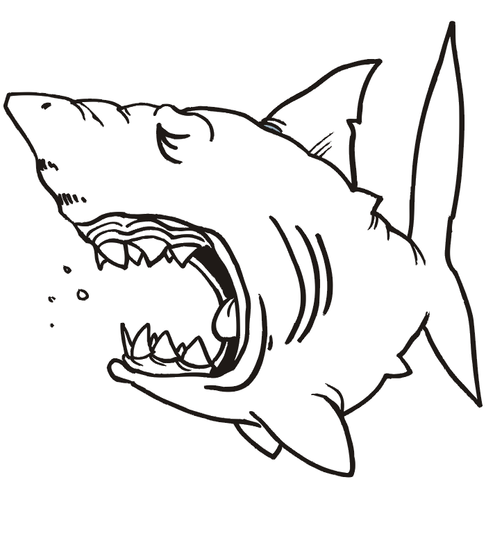 Free Shark Coloring Pages | Printable Coloring Pages