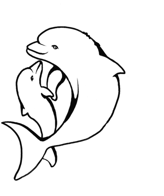 coloring-pages-of-a-dolphin- ...
