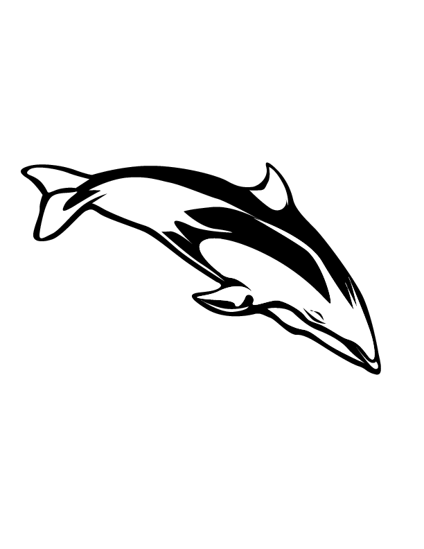 eps 1 dolphin printable coloring in pages for kids - number 2592 ...