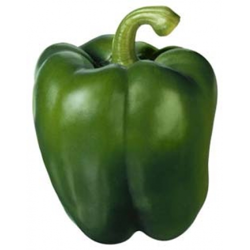 20+ Green Bell pepper seeds