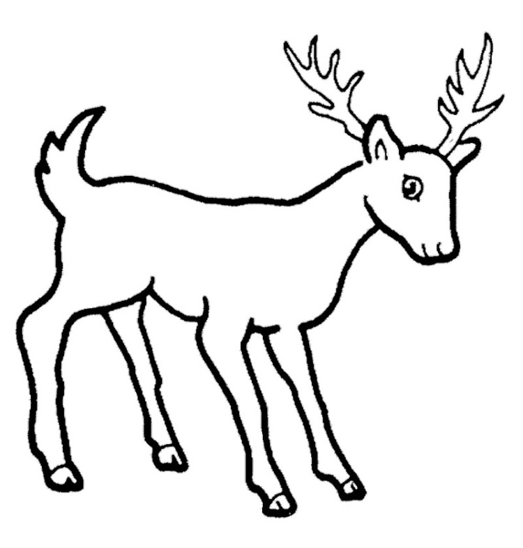Deer Coloring Pages Deer And Snowman Coloring Pages Lowrider Car ...