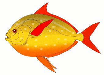 Free Fish Clipart - Free Clipart Graphics, Images and Photos ...