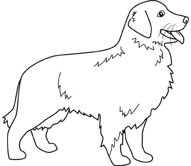Coloring Pages Of Golden Retrievers Images & Pictures - Becuo