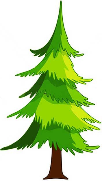 Simple Pine Tree Cartoon