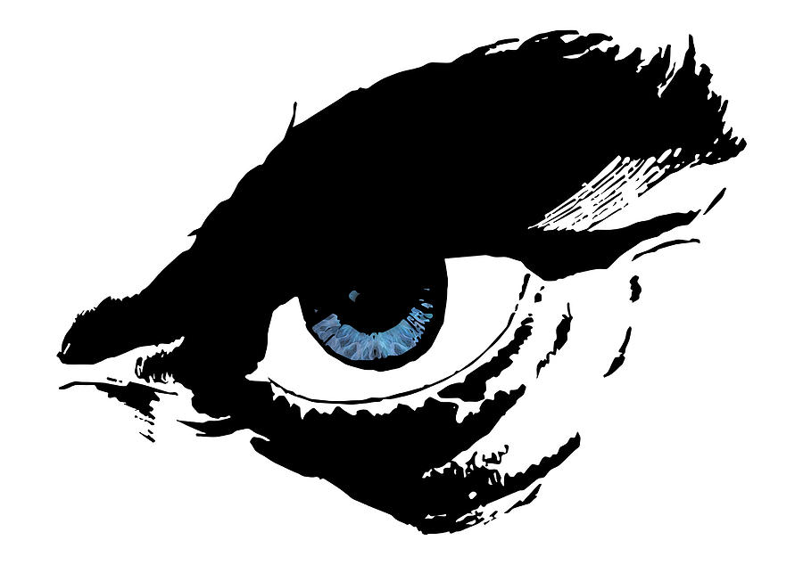 Man's Blue Angry Eye by Nenad Cerovic - Man's Blue Angry Eye Mixed ...