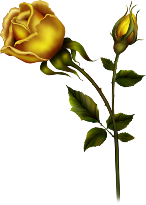 yellow roses pictures clip art - photo #33