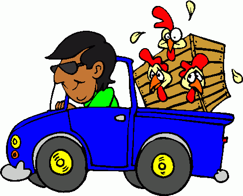 driving_with_chickens clipart - driving_with_chickens clip art