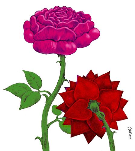 passional roses By Medi Belortaja | Love Cartoon | TOONPOOL