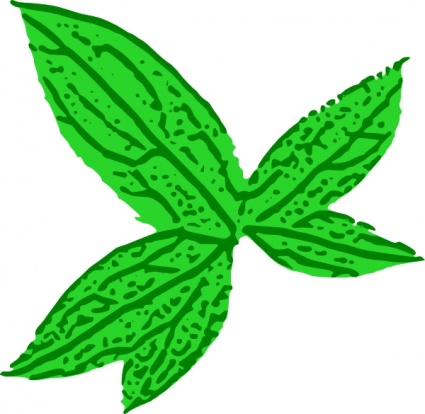 Download Green Leaf clip art Vector Free