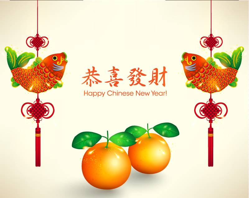 Chinese New Year greeting cards vector material knot carp | Vector ...