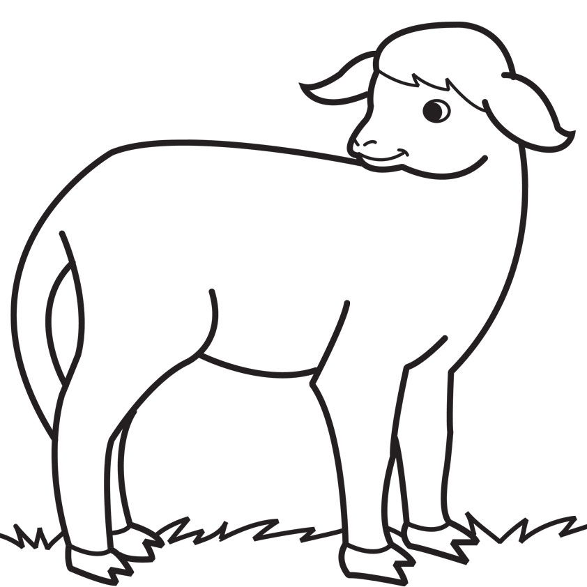 Baby Lamb Drawing Images & Pictures - Becuo