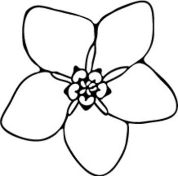 FORGET ME NOT - TeachersPayTeachers.com