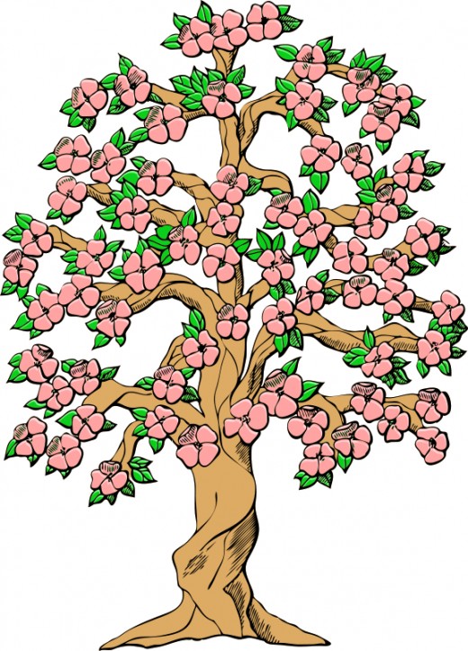 spring tree clipart free - photo #32