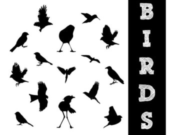Popular items for bird silhouette on Etsy