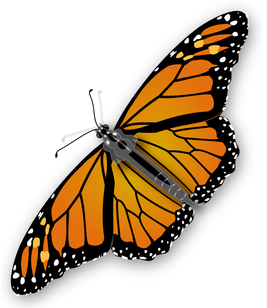 monarch-butterfly-clip-art-cliparts-co