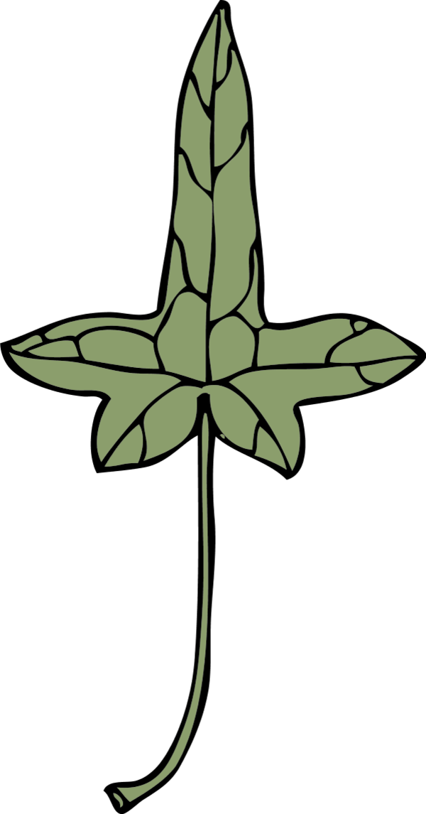 ivy leaf 9 - vector Clip Art