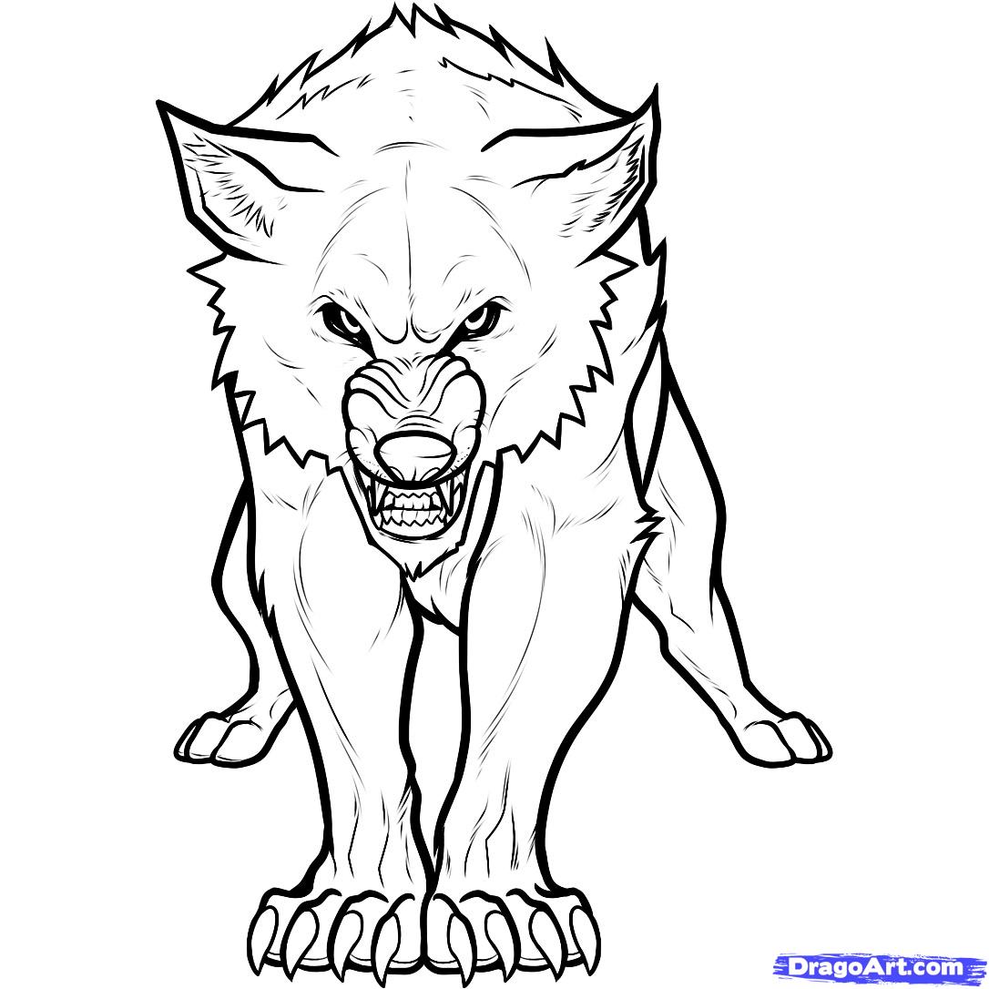 How to Draw a Twilight Wolf, Twilight Wolf, Wolf Jacob, Step by ...