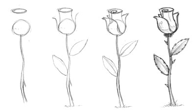Learn How To Draw A Rose - Art Is Crazy