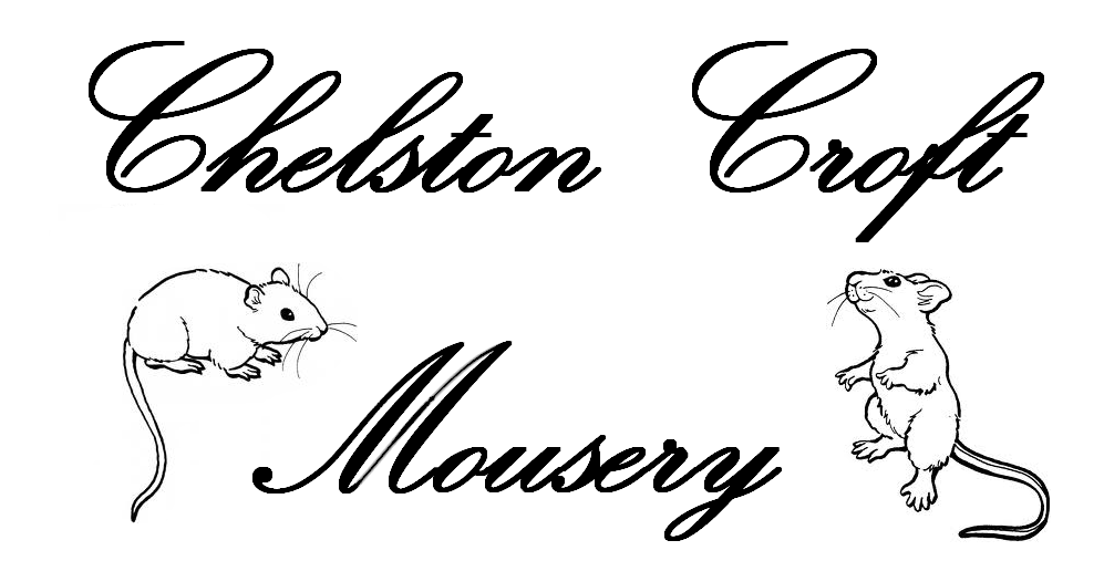 Fancy Mice Breeders • View topic - A Mousery in two halves