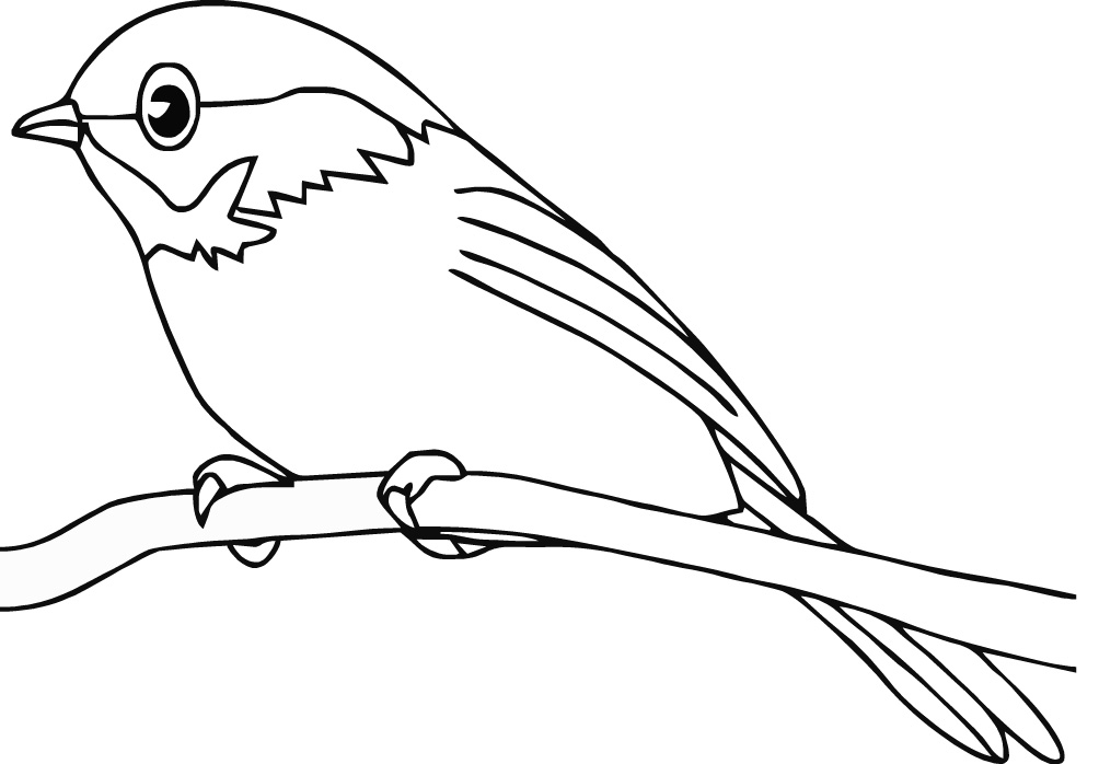 Bird Outline Drawing Clipartsco