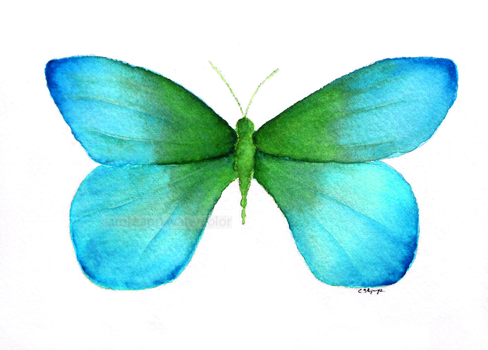 watercolor painting blue green butterfly archival by carolsapp