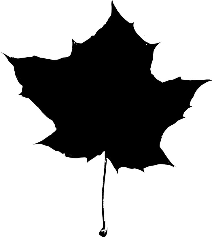 Maple leaf silhouette Clipart | Silhouette | Pinterest