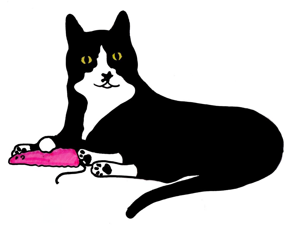 The Creative Cat - Mr. Mistoffelees, The Forever Kitten