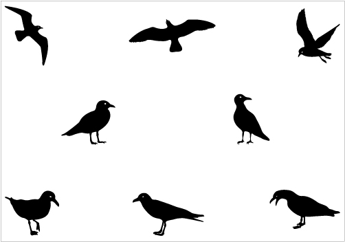 Seagull silhouette vector graphics packSilhouette Clip Art