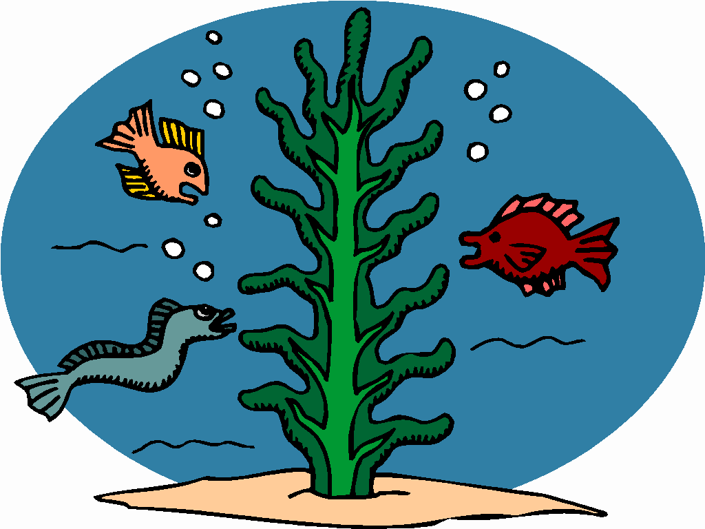 under the sea clipart free - photo #44