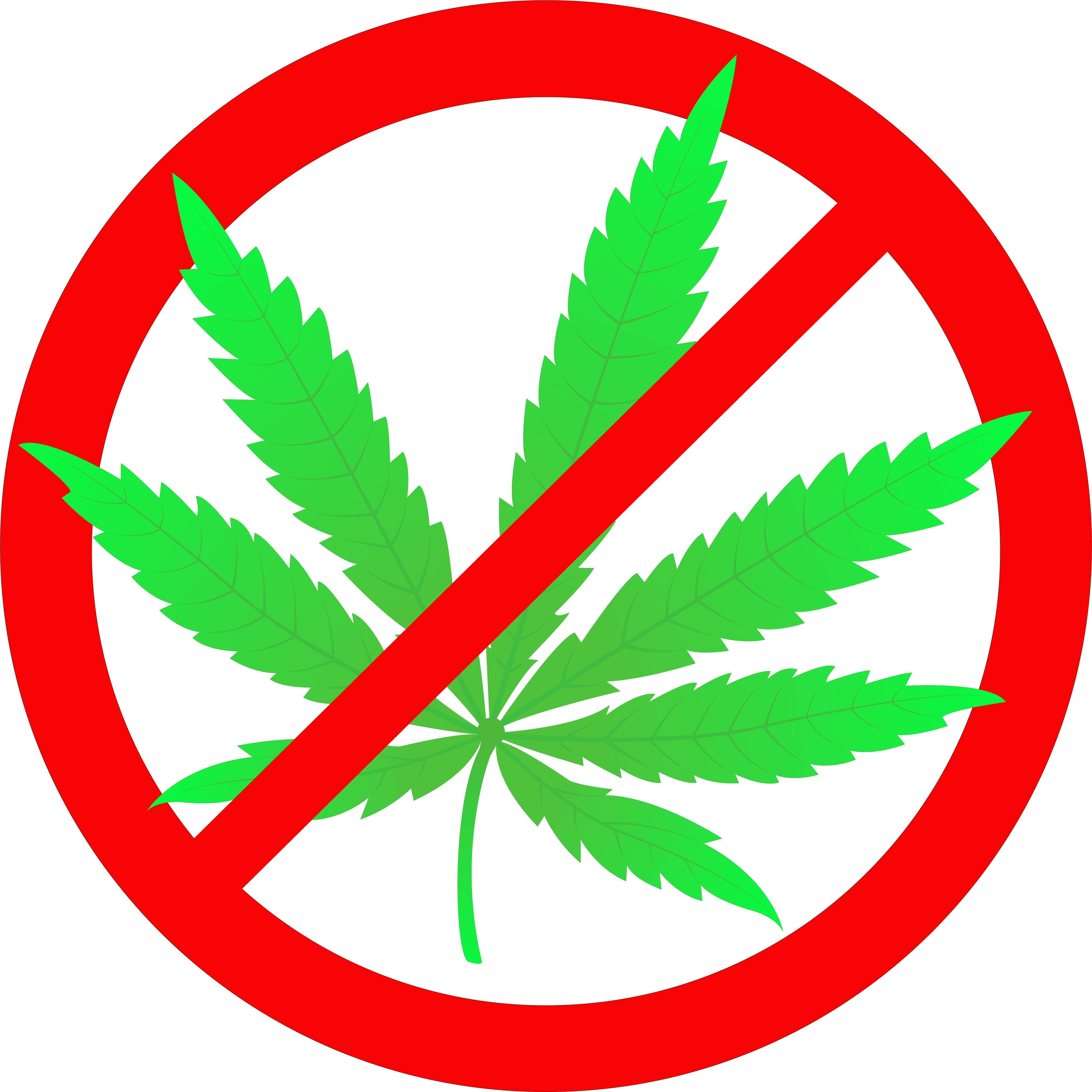 Just Say No! Protection for Workplace Medical Marijuana Use Up in ...