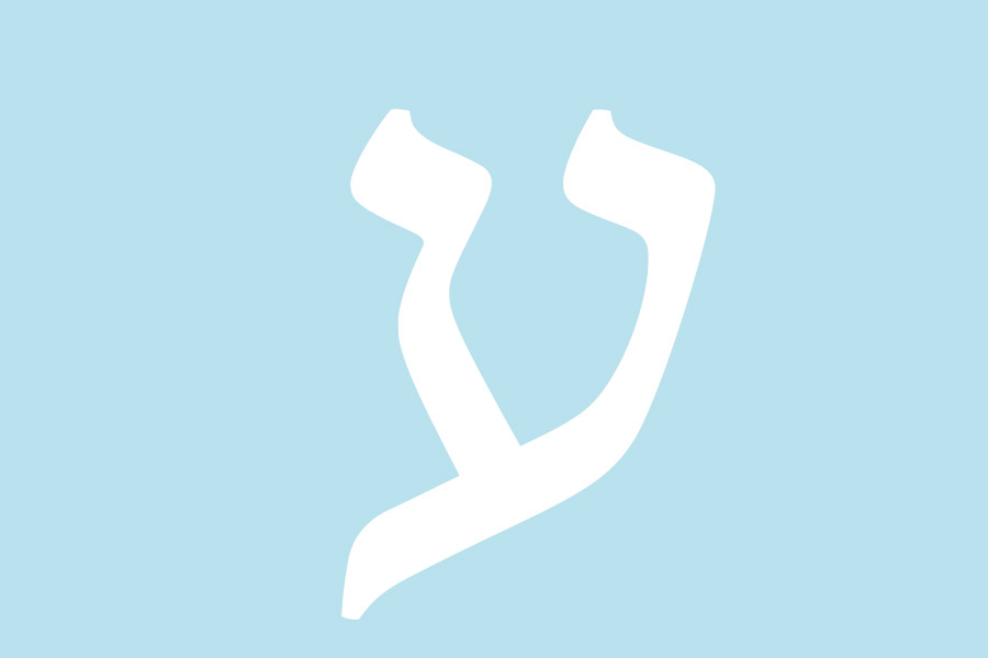 Bnei Akiva | Educating for a life of Torah veAvoda