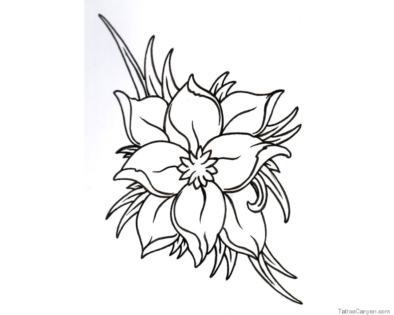 Simple Flower Drawing In Black And White - bmp-fidgety