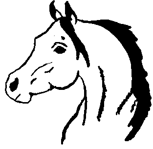 Horse Head Graphics & Clipart