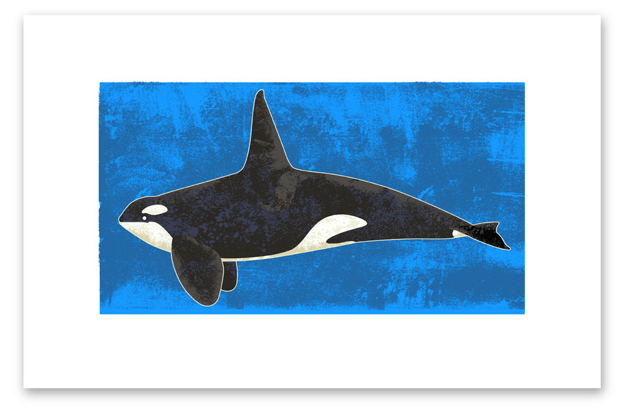 Popular items for whale drawing on Etsy
