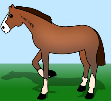 Horse Cartoon Images | lol-