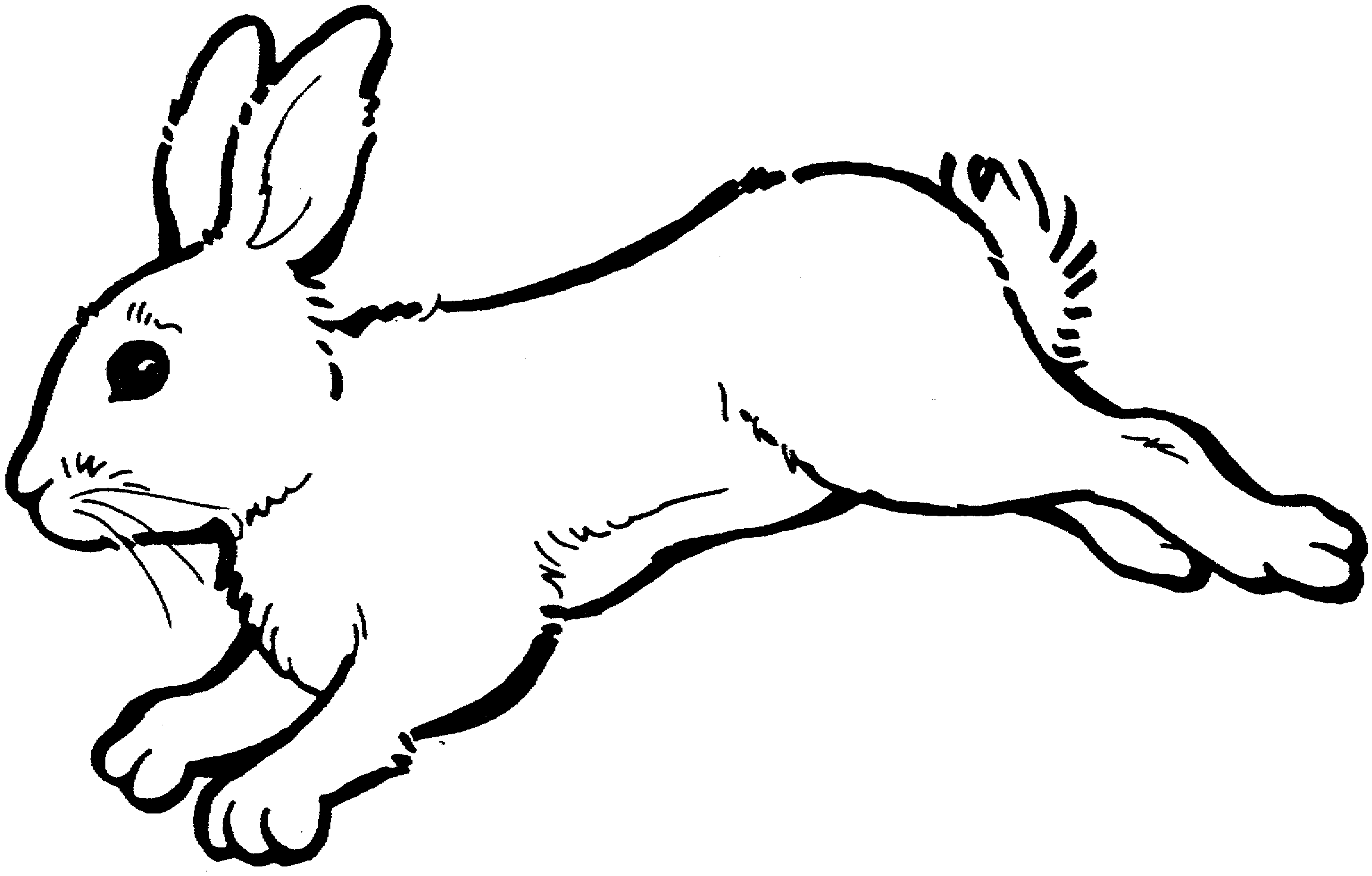Images For > Hopping Bunny Clipart