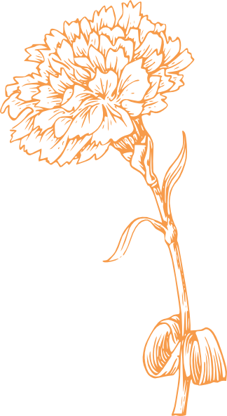 Orange Carnation clip art - vector clip art online, royalty free ...