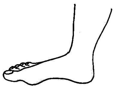 Lace Rib Socks - Audrey's Knits