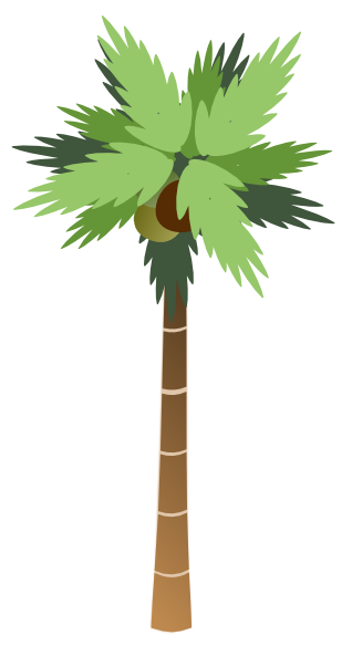 White Palm Tree Png Images & Pictures - Becuo
