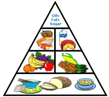 Balanced Healthy Nutritional Diet - good diet advise guide ...