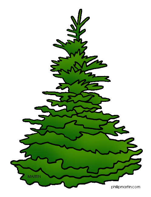 Pix For > Spruce Tree Clip Art
