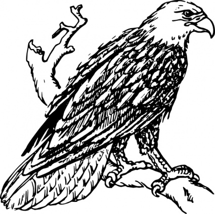 Bald Eagle clip art - Download free Other vectors