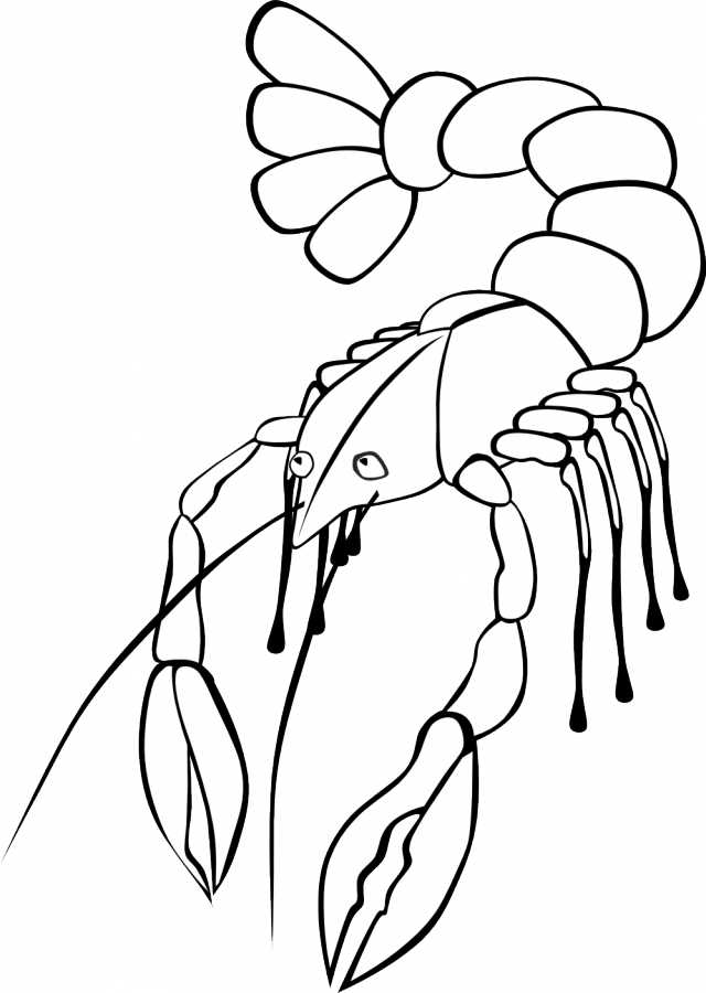 Crawfish 3 Black White Line Art Coloring Book Colouring Letters ...