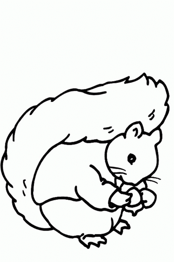 Free Squirrel Coloring : Sweet Squirrel Coloring Pages. S For ...