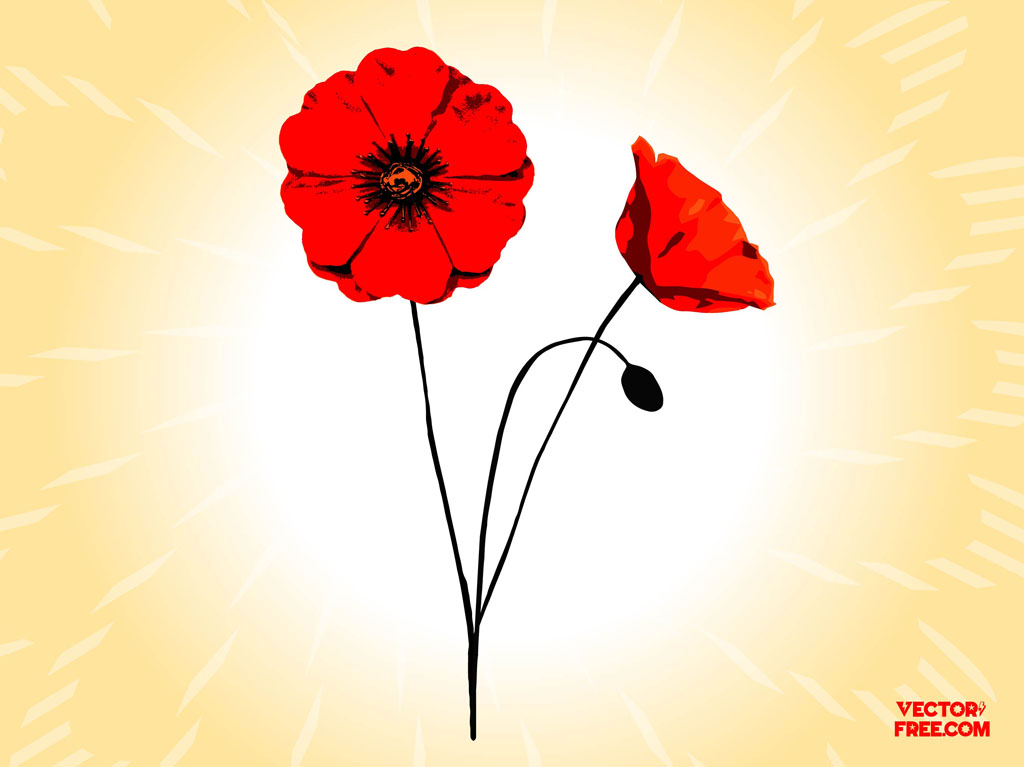 free poppy flower clip art - photo #23