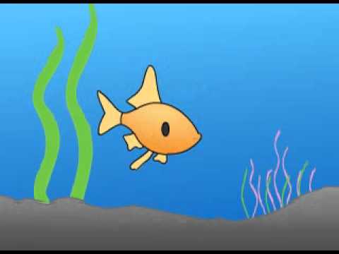 Fish flash animation - YouTube