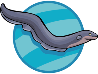 Cartoon Eel - ClipArt Best - Cliparts.co