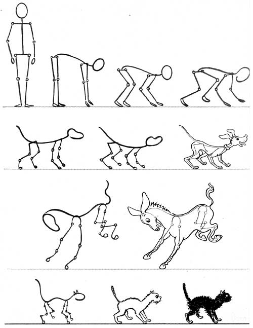 How to draw cartoon animals