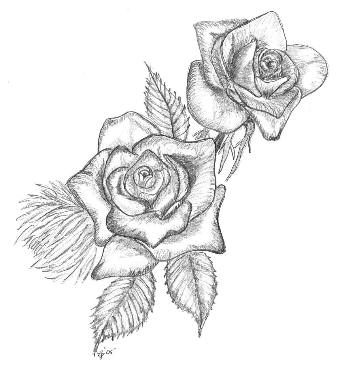 Drawings Of Roses Cliparts.co